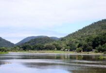 Template Colunistas – Yhuldes Giovani