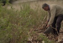 Template Colunistas – Yhuldes Giovani