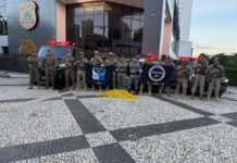 Template Colunistas – Yhuldes Giovani