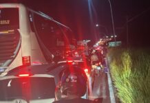 Template Colunistas – Yhuldes Giovani