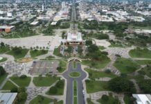 Template Colunistas – Yhuldes Giovani