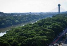 Template Colunistas – Yhuldes Giovani