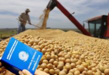 Template Colunistas – Yhuldes Giovani