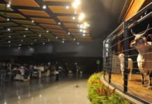 Template Colunistas – Yhuldes Giovani