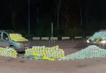 Template Colunistas – Yhuldes Giovani