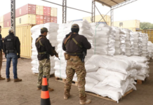 Template Colunistas – Yhuldes Giovani