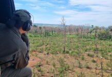 Template Colunistas – Yhuldes Giovani