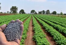 Template Colunistas – Yhuldes Giovani