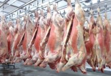 Template Colunistas – Yhuldes Giovani