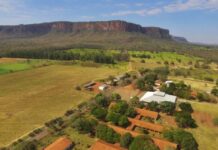 Template Colunistas – Yhuldes Giovani