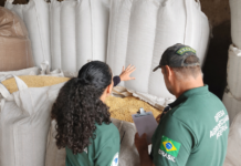 Template Colunistas – Yhuldes Giovani