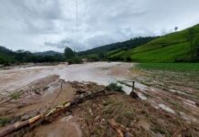 Template Colunistas – Yhuldes Giovani