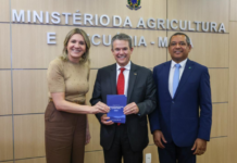 Template Colunistas – Yhuldes Giovani