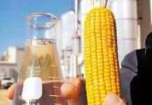 Template Colunistas – Yhuldes Giovani