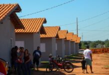 Template Colunistas – Yhuldes Giovani