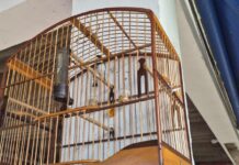 Template Colunistas – Yhuldes Giovani