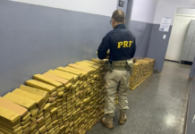 Template Colunistas – Yhuldes Giovani