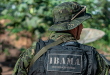 Template Colunistas – Yhuldes Giovani