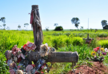 Template Colunistas – Yhuldes Giovani