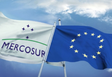 Template Colunistas – Yhuldes Giovani