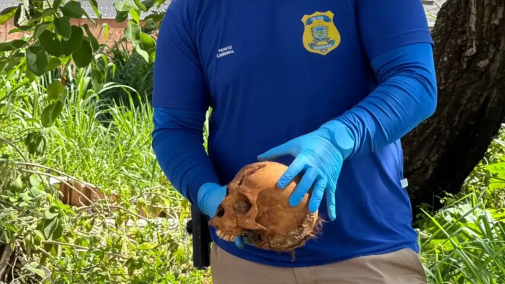 Quatro crânios encontrados em Campo Grande nos últimos meses seguem sem identificação