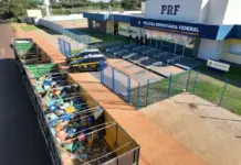 Template Colunistas – Yhuldes Giovani