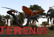 Template Colunistas – Yhuldes Giovani