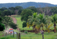 Template Colunistas – Yhuldes Giovani