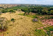 Template Colunistas – Yhuldes Giovani