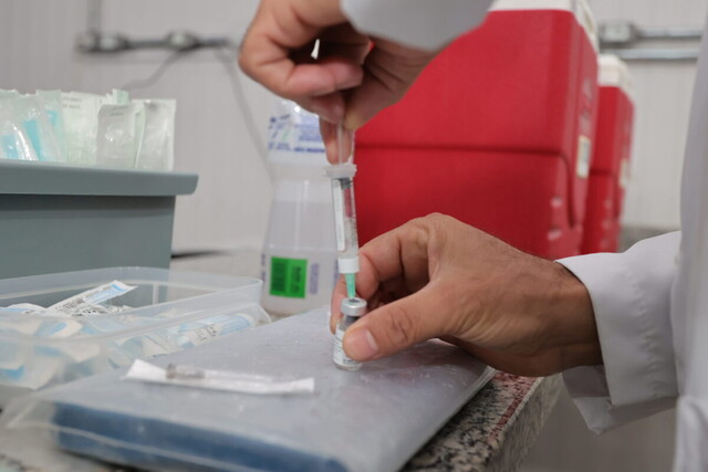 Internada há 15 dias, mulher de 46 anos é a 11ª vítima da chikungunya Internada há 15 dias, mulher de 46 anos é a 11ª vítima da chikungunya