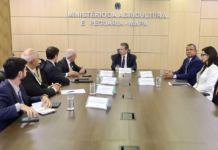 Template Colunistas – Yhuldes Giovani