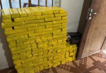 Template Colunistas – Yhuldes Giovani