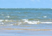 Template Colunistas – Yhuldes Giovani