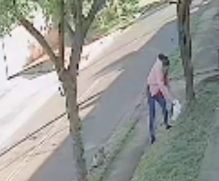 Câmera de Segurança flagra suposto abandono de cachorro em Ponta Porã