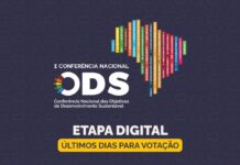 Template Colunistas – Yhuldes Giovani