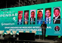 Template Colunistas – Yhuldes Giovani
