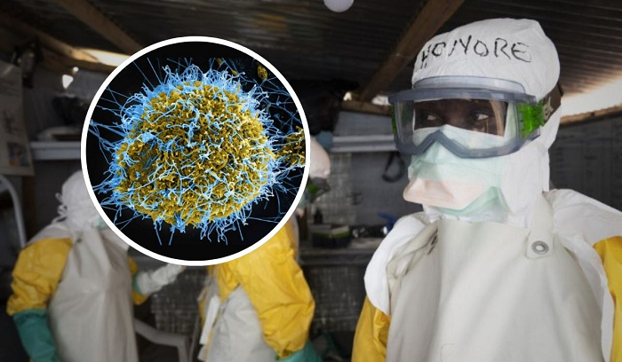Ebola no Brasil: segundo caso suspeito é investigado no Rio de Janeiro após alerta em SP Ebola no Brasil: segundo caso suspeito é investigado no Rio de Janeiro após alerta em SP