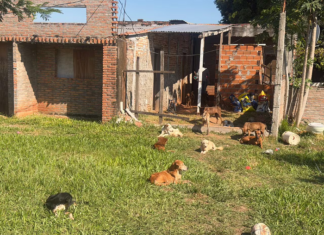 Category Template 1