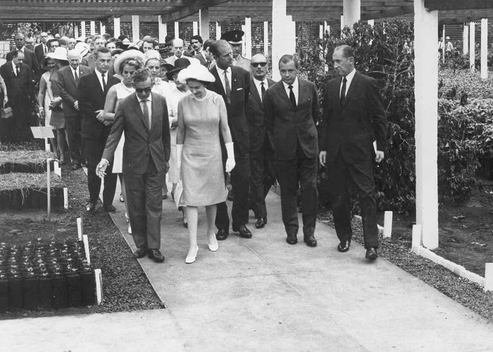 No Dia do Café, relembre a visita da rainha Elizabeth ao Instituto Agrícola de Campinas No Dia do Café, relembre a visita da rainha Elizabeth ao Instituto Agrícola de Campinas