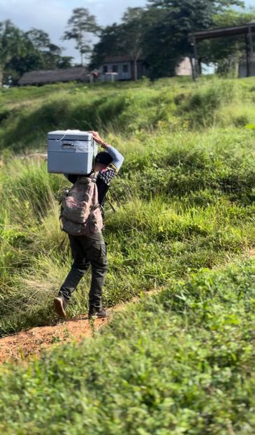 Profissionais de saúde vencem desafios para vacinação em área indígena Profissionais de saúde vencem desafios para vacinação em área indígena