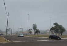Template Colunistas – Yhuldes Giovani