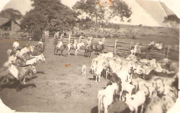 Bandoleiro “Barulho”: O Terror Das Patrulhas Volantes Do Século Xx Bandoleiro “Barulho”: O Terror Das Patrulhas Volantes Do Século Xx