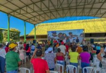 Template Colunistas – Yhuldes Giovani