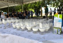 Template Colunistas – Yhuldes Giovani