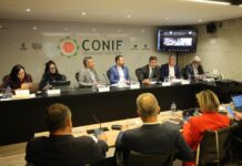 Template Colunistas – Yhuldes Giovani