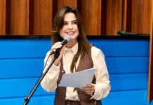 Template Colunistas – Yhuldes Giovani