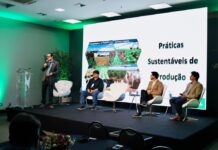 Template Colunistas – Yhuldes Giovani
