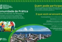 Template Colunistas – Yhuldes Giovani