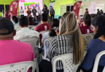 Template Colunistas – Yhuldes Giovani