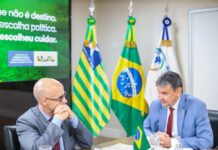 Template Colunistas – Yhuldes Giovani